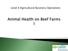 Beef Animal Health Week 1 9.24MB
