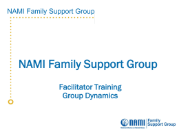 NAMI FSG Group Dynamics