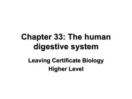 File - Leaving Cert Biology