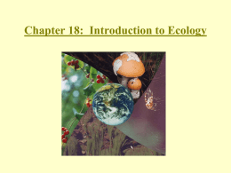 Chapter 35: Ecosystems