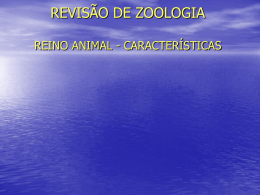 REVISÃO DE ZOOLOGIA REINO ANIMAL