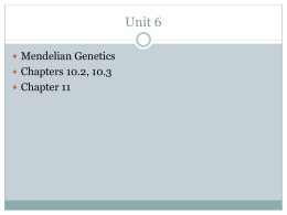 Lecture Unit Six
