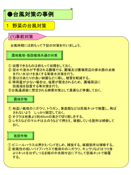 沖縄県における台風対策について（PPT：424KB）