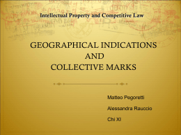 GEOGRAPHICAL INDICATIONS AND COLLECTIVE MARKS