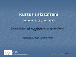 Kursus i skizofreni Aulum d. 6. oktober 2012