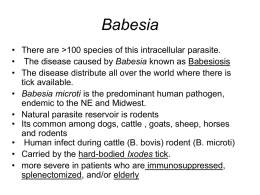 Lecture: Babesia