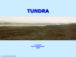 PowerPoint esitlus “Tundra”. Ulvi Urgard, Saue Gümnaasium.
