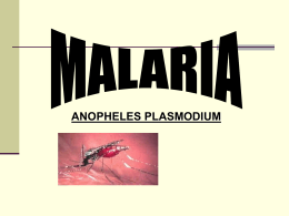 trabajo malaria-1.