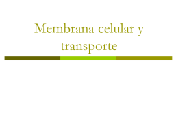 Membrana celular y trasporte