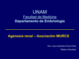 UNAM Facultad de Medicina Departamento de Embriología