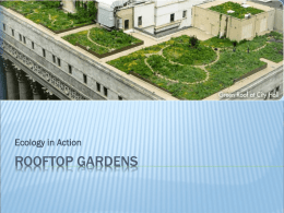 Ecology in Action: Rooftop Gardens Presentation