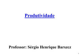 Produtividade Professor: Sérgio Henrique Barszcz