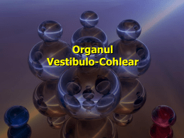 Organul Vestibulo-Cohlear