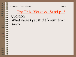 Lesson 01 Yeast vs Sand Answers