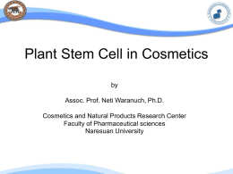 Plant stem cell extract