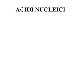 ACIDI_NUCLEICI