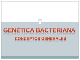 Genética bacteriana 2013 med
