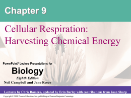 09_Lecture_Presentation