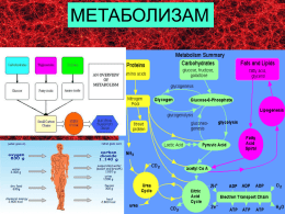 лекција 12-метаболизам-мкд