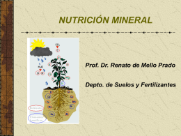 Slide sem título - Nutrição de Plantas