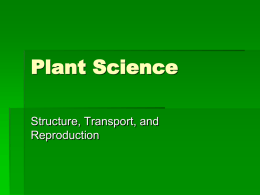 Plant Diversity and Structure