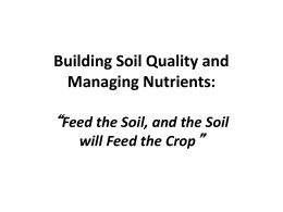 Building Soil Quality and Managing Nutrients: Feed the Soil, and the