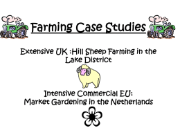Farming Case Studies Extensive UK :Hill Sheep Farming in the Lake