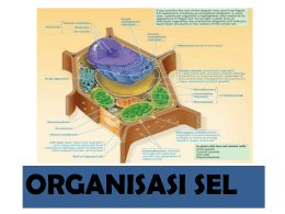 full organisasi sel