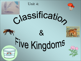 Classification