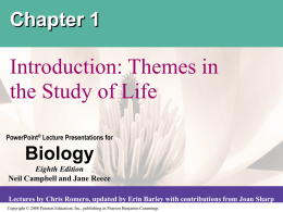 Chapter 1 ppt