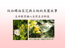 h1-紋白蝶油菜花與土地的美麗故事