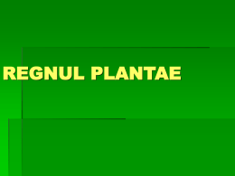 REGNUL PLANTAE Click - CNILC