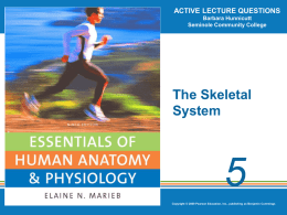 Chapter 5 the Skeletal System
