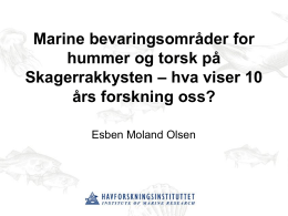 Innlegg av Esben Moland Olsen