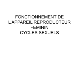 fonctionnement de l`appareil reproducteur feminin cycles sexuels