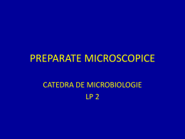 lp 2 – microbio – Preparate microscopice