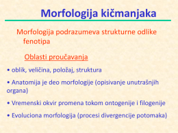 Teorija morfologije