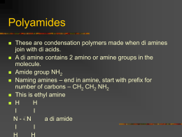 Polymers Amiders - Clydebank High School