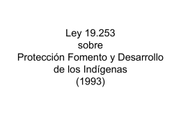 Ley 19.253 sobre Protecci&oacute;n Fomento y Desarrollo de los Ind&iacute;genas