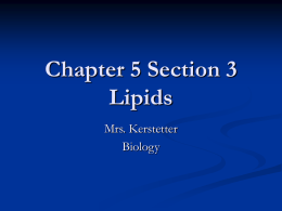 Chapter 5 Section 3 Lipids