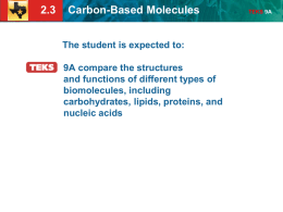 2.3 Carbon-Based Molecules TEKS 9A