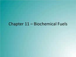 Chapter 11 - Biochemical Fuels