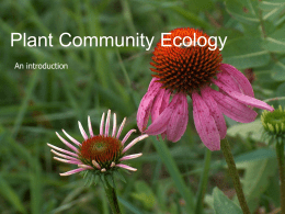 Plant Community Patterns