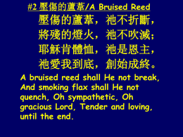 壓傷的蘆葦/A Bruised Reed