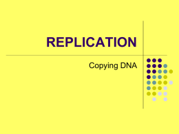 Powerpoint Presentation: Replication