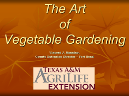 Commonsense Vegetable Gardening for the Texas Gulf Coast