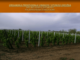 Organska proizvodnja vinskog i stonog groždja