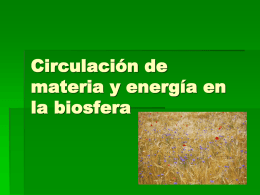 Circulacion_de_materia_y_energia_en_la_biosfera_1
