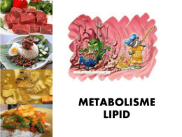 2_Metabolisme Lipid Ringkas