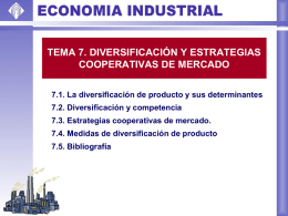 7.4. Medidas de diversificación de producto